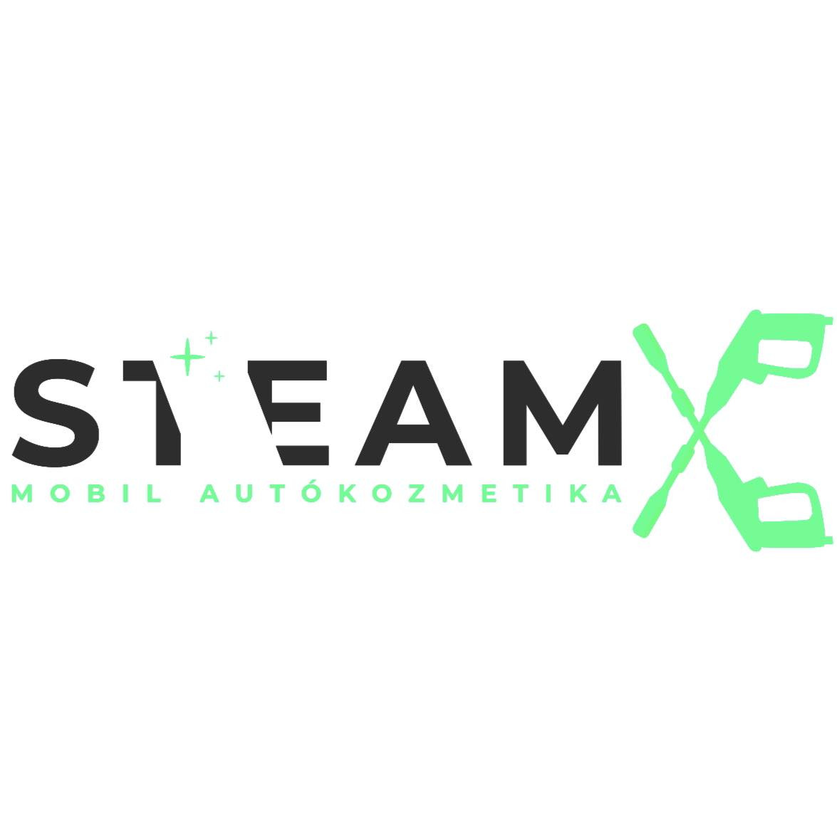 SteamX Hungary image